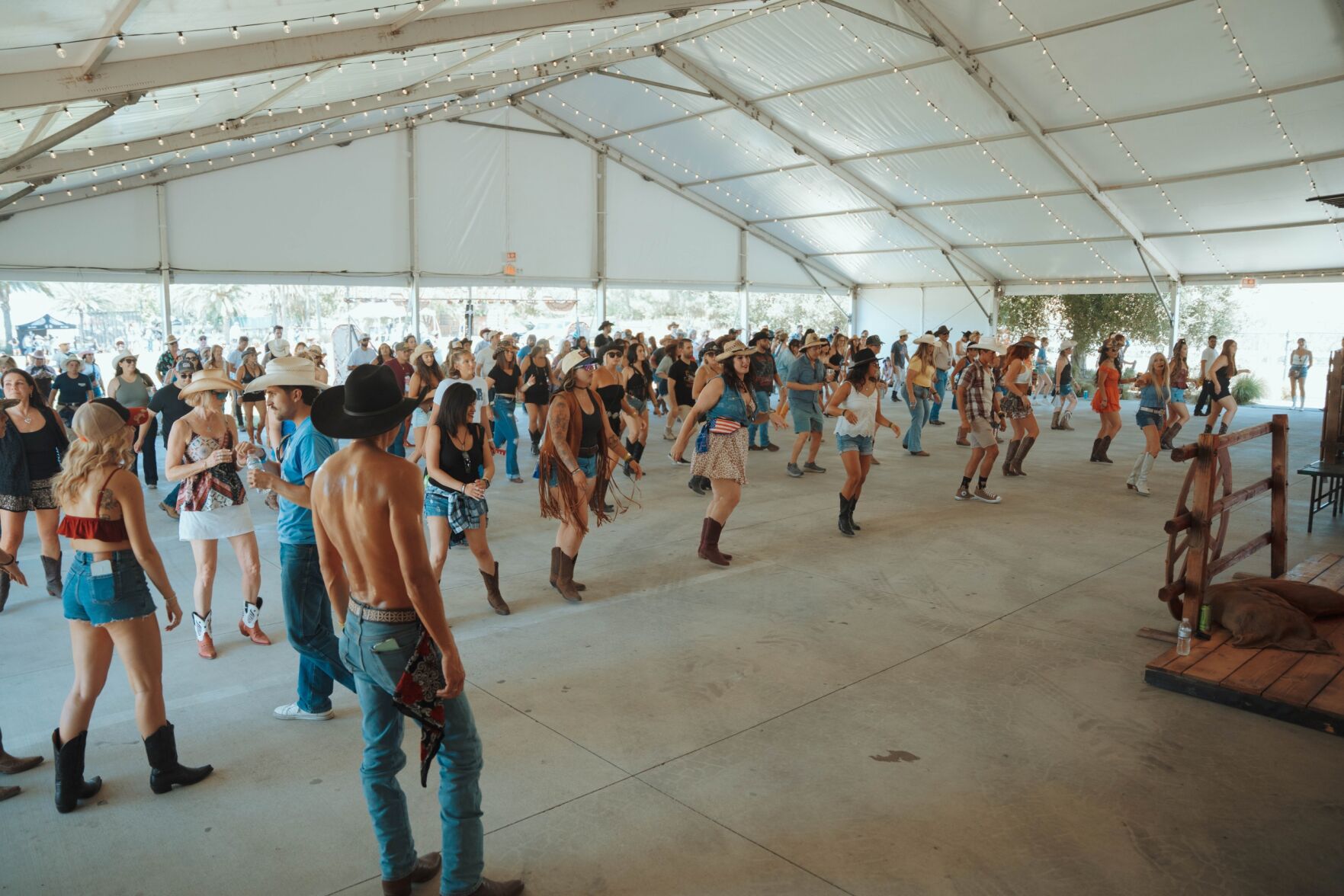 Line Dancing